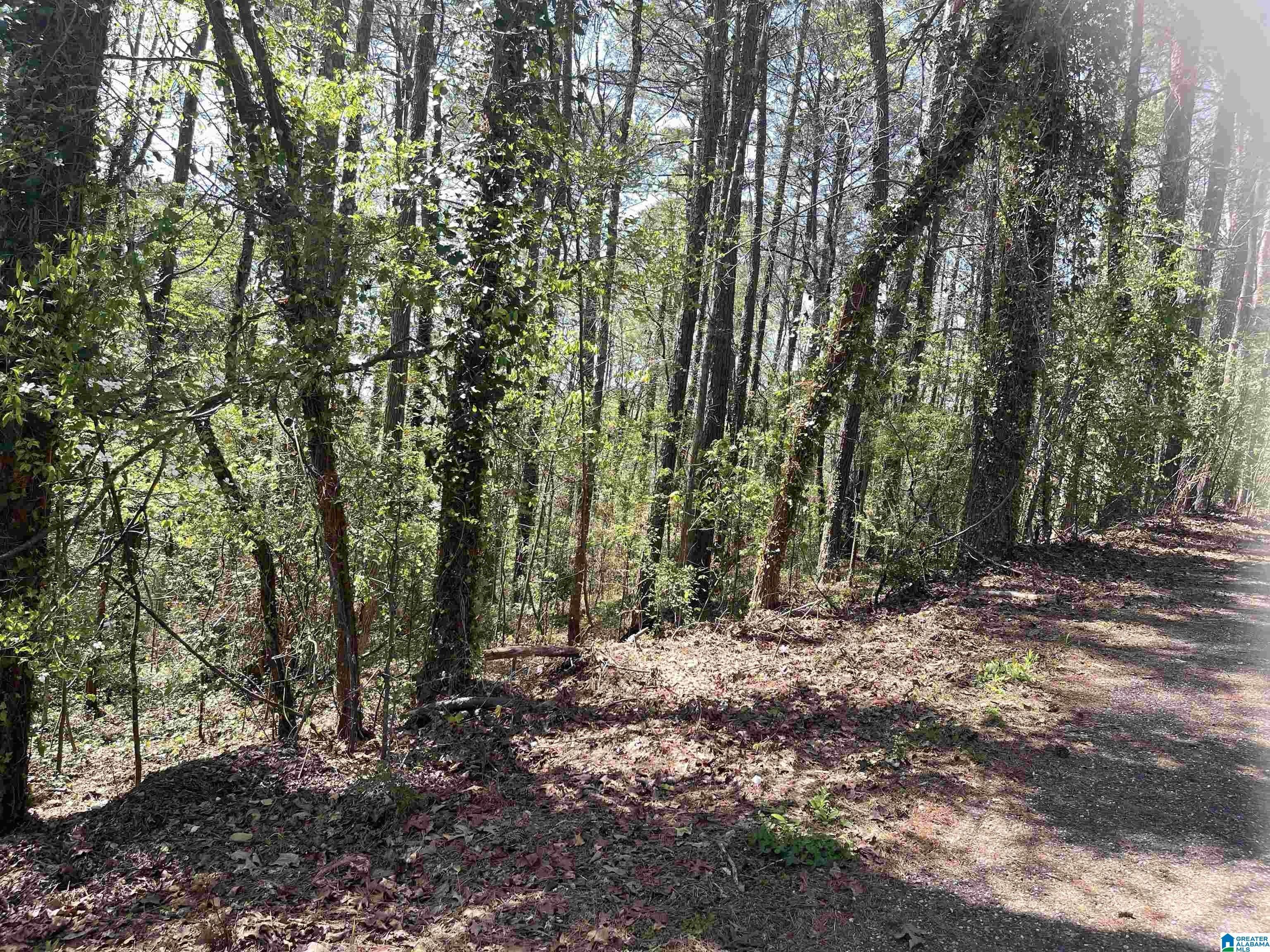 Weaver, Calhoun County, AL Undeveloped Land, Homesites for sale
