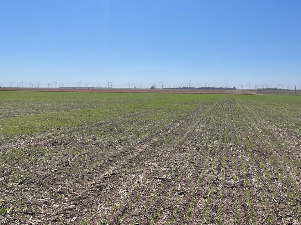 Kinsley, Ford County, KS Farms and Ranches, Hunting Property for