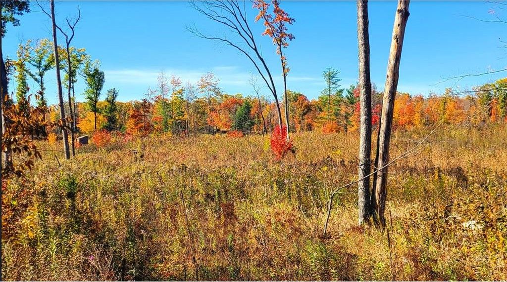 Comstock, Barron County, WI Undeveloped Land, Lakefront Property