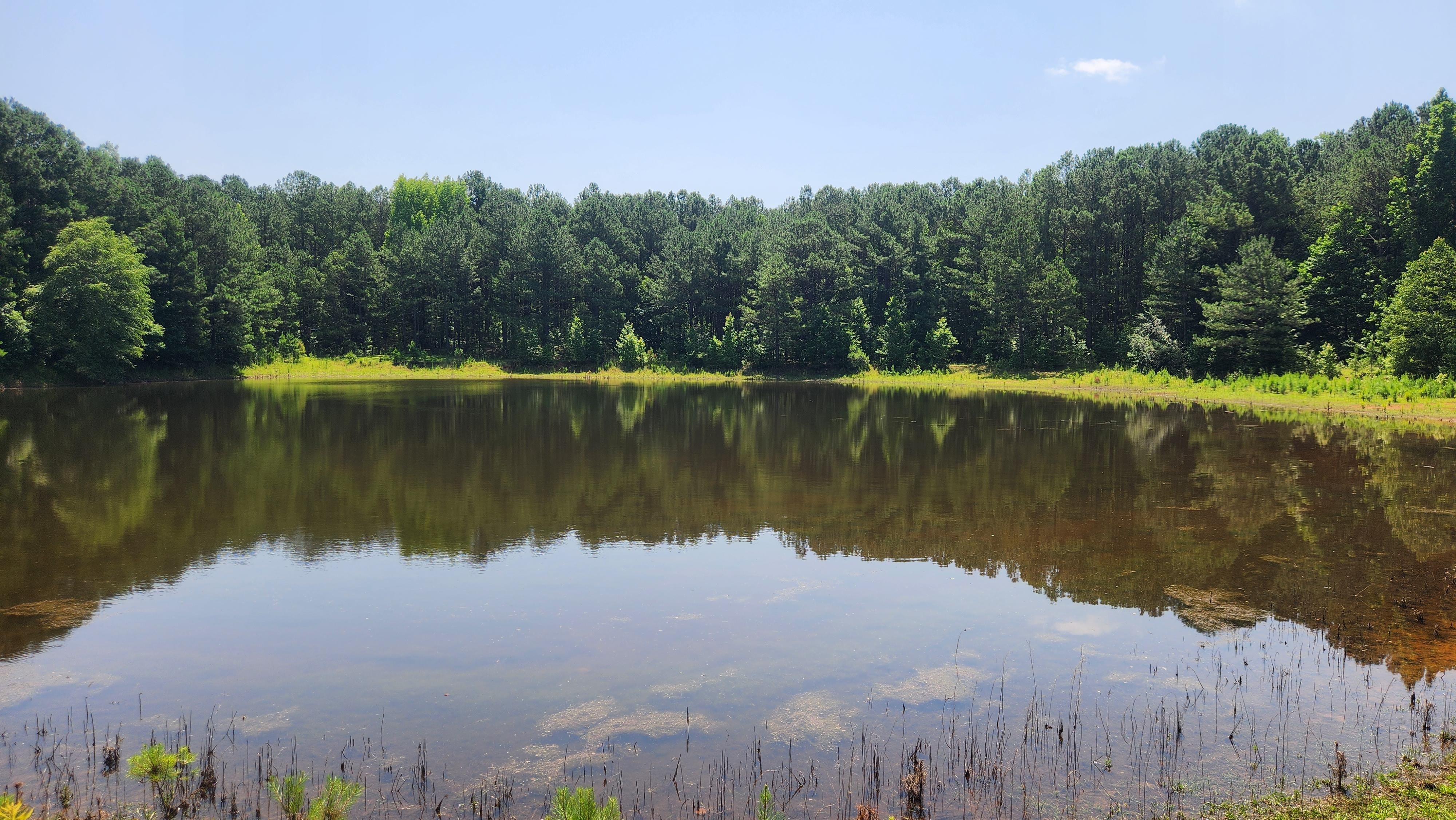 Manchester, Meriwether County, GA Recreational Property, Timberland Property, Hunting Property