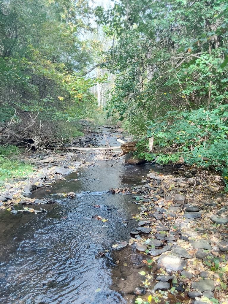 883 County Route 23, Watkins Glen, NY 14891 MLS ECARNY LandWatch