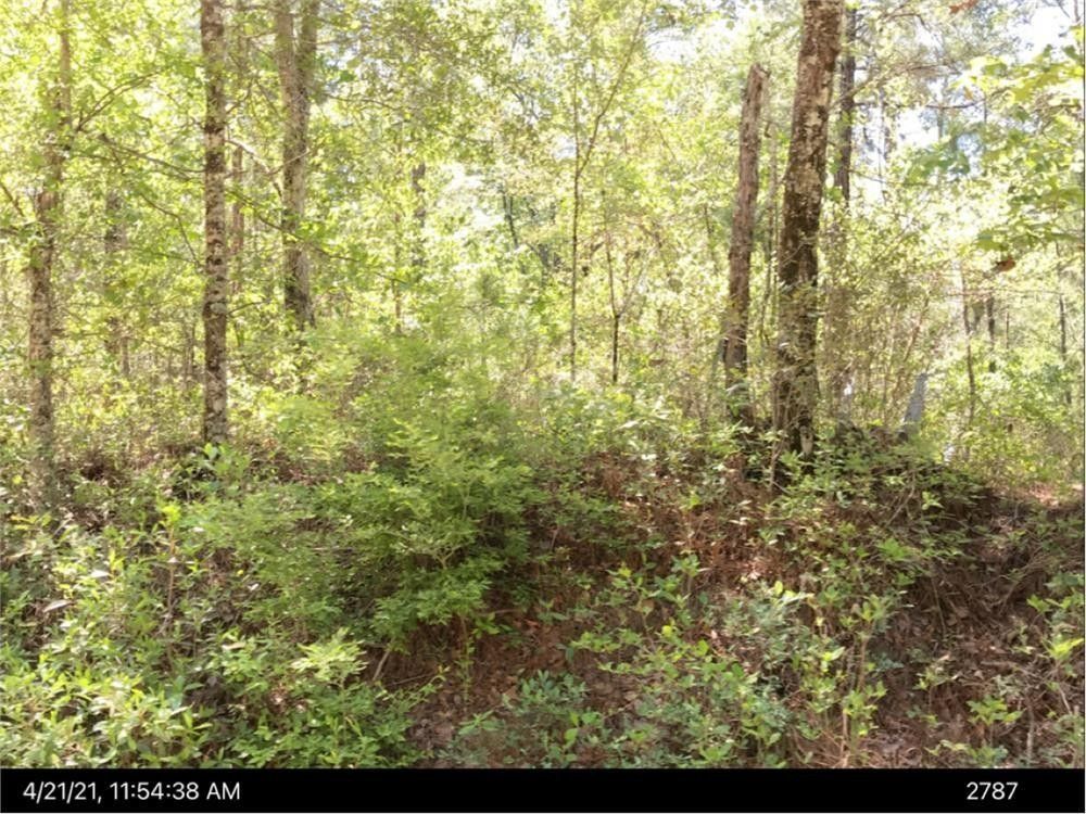 Hazlehurst, Jeff Davis County, GA Undeveloped Land for sale Property ID