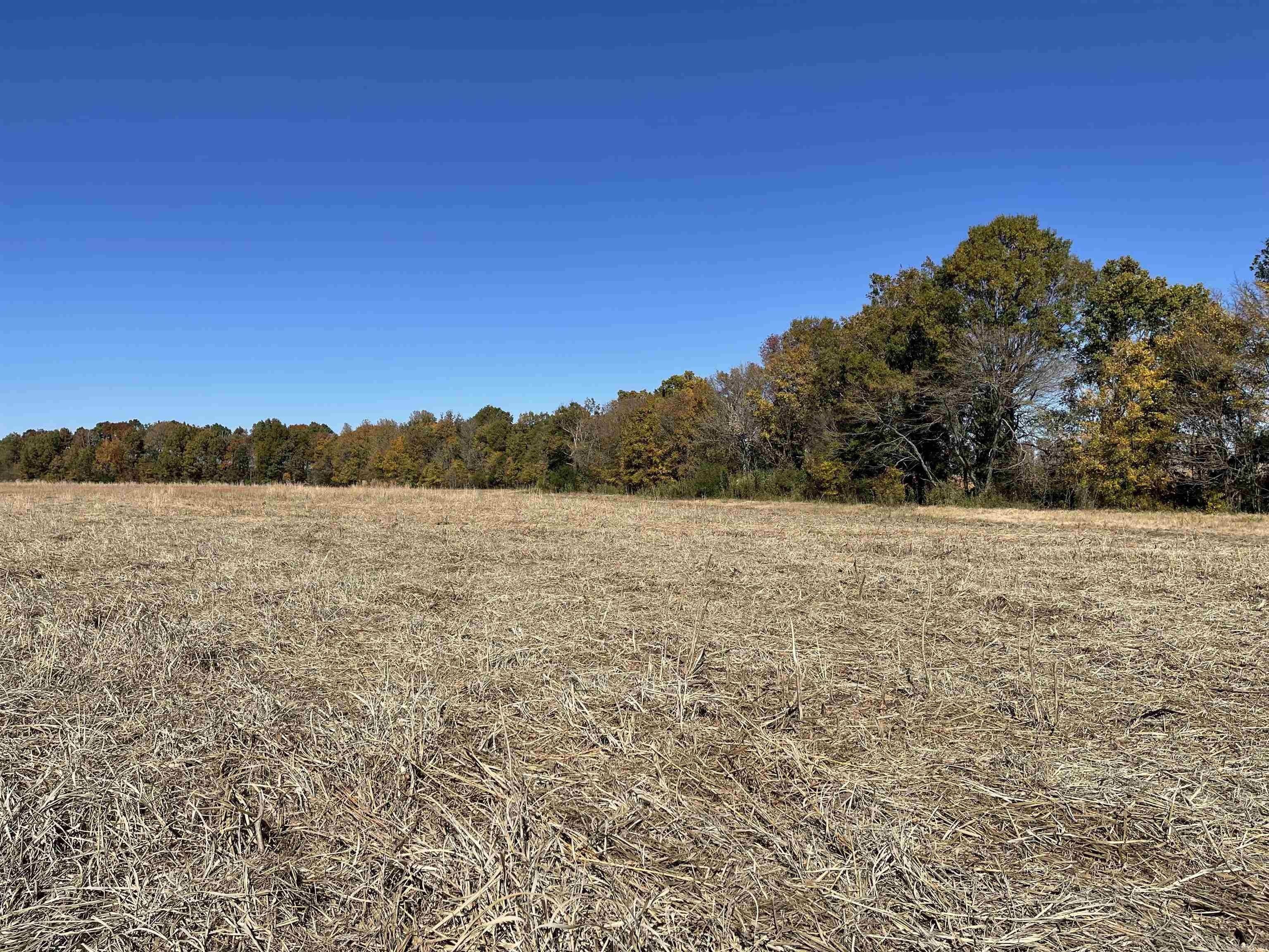 Paragould, Greene County, AR Farms and Ranches for sale Property ID