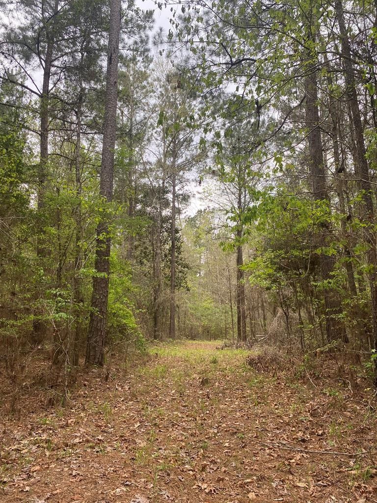 Pineland, Sabine County, TX Undeveloped Land for sale Property ID