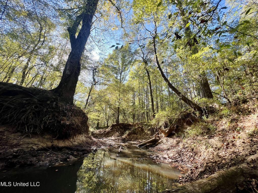 Loring Rd, Pickens, MS 39146 LandWatch