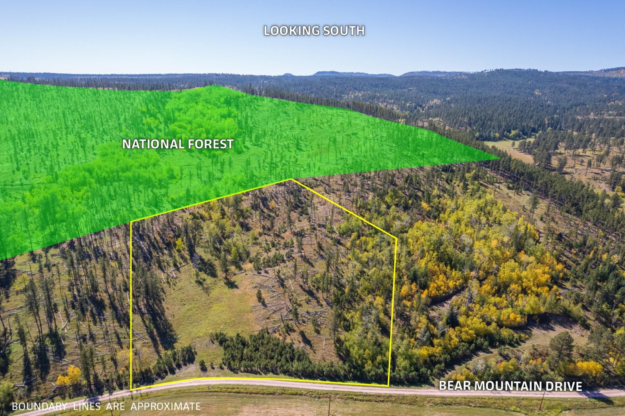 11781 Bear Mountain Drive, Custer, SD 57730 MLS 77962 LandWatch