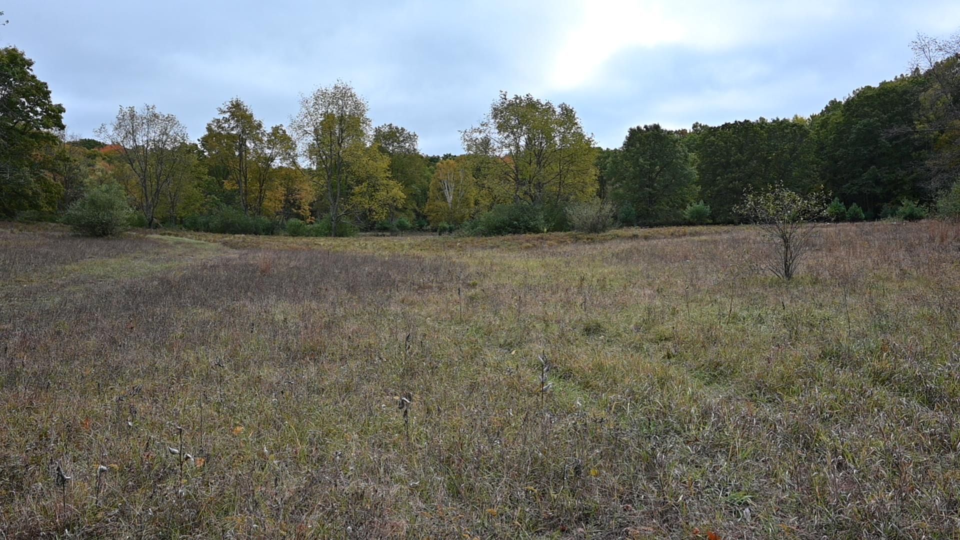 Big Rapids, Mecosta County, MI Recreational Property, Hunting Property