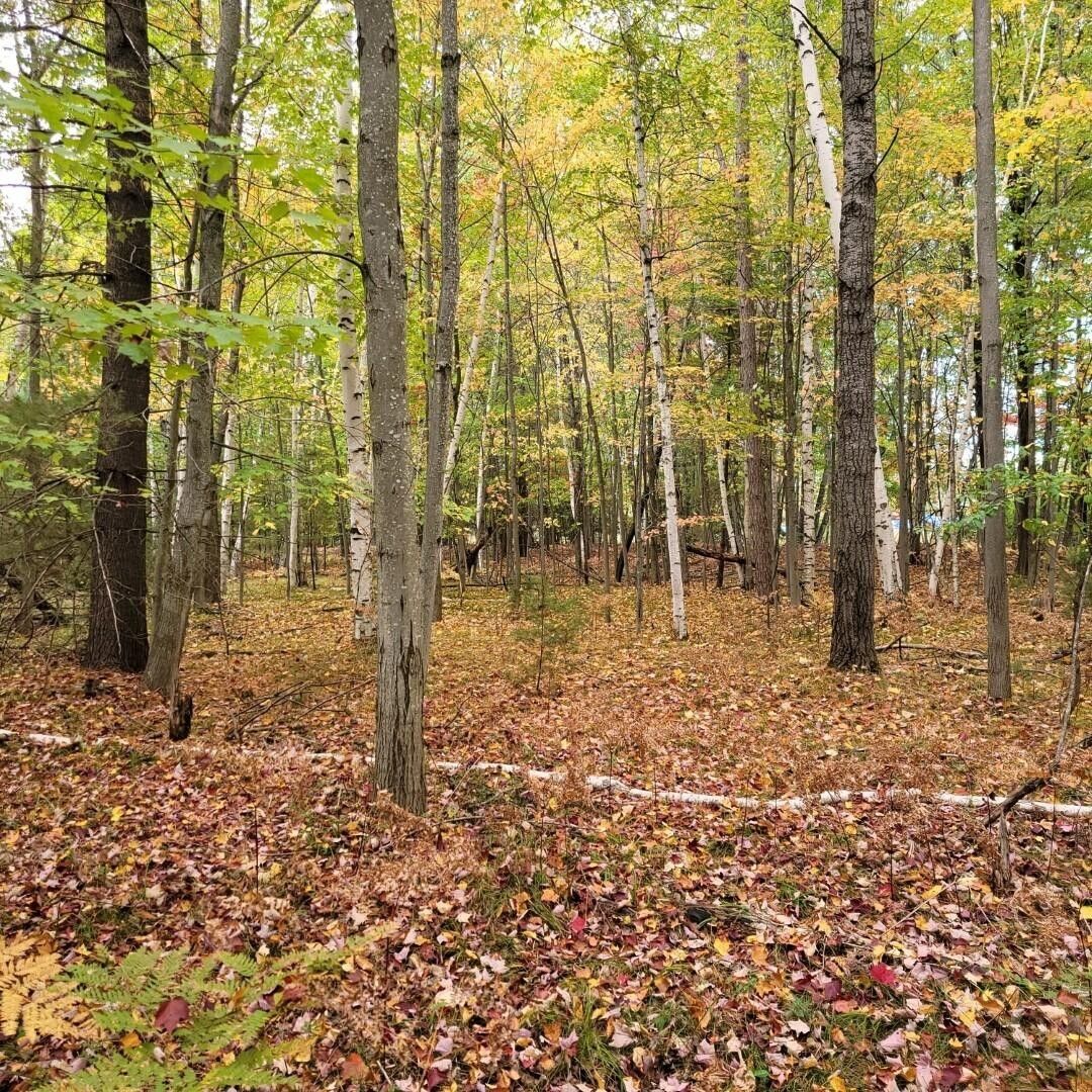 Prudenville, County, MI Undeveloped Land for sale Property ID