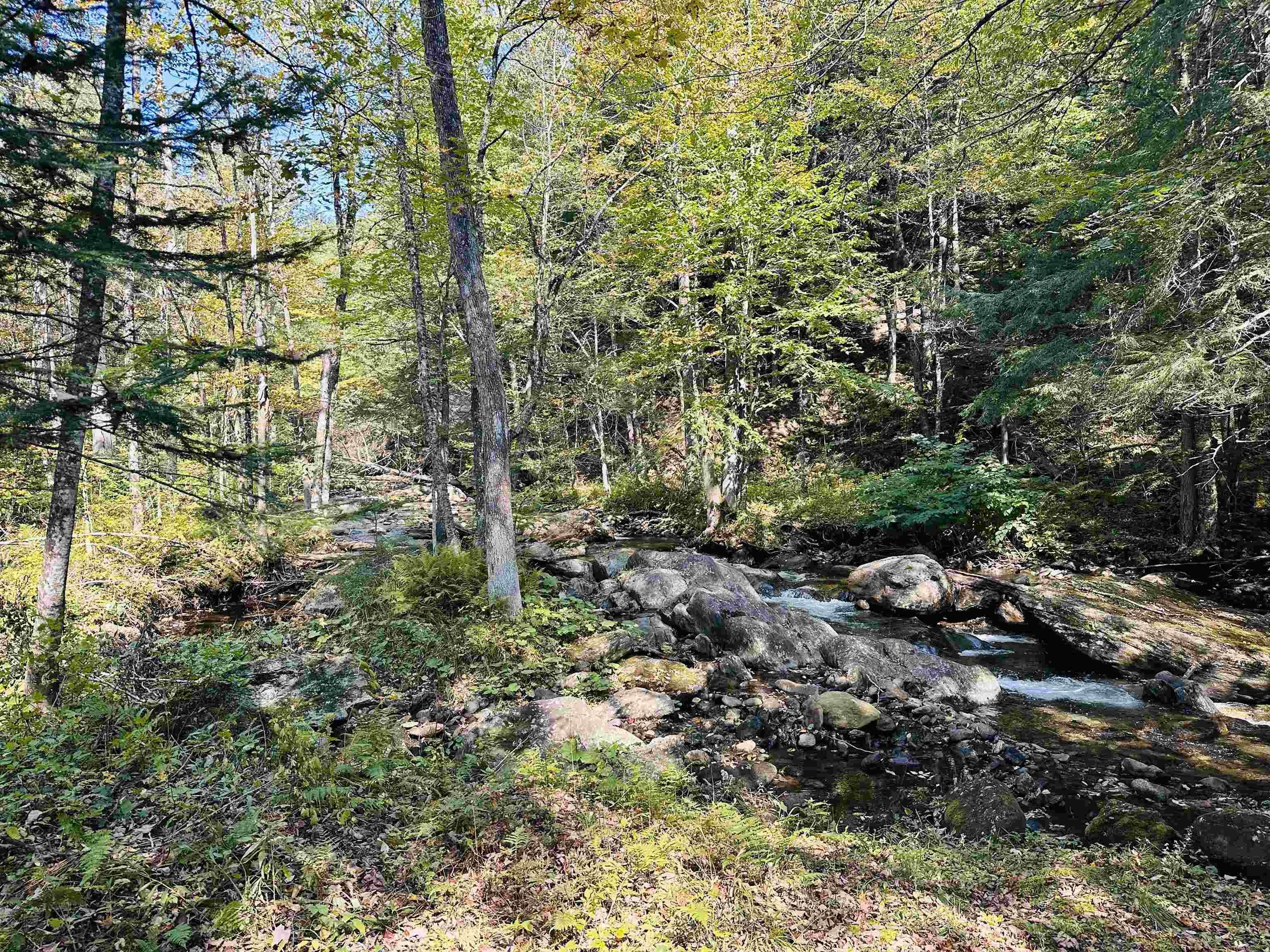 Johnson, Lamoille County, VT Undeveloped Land, Homesites for sale
