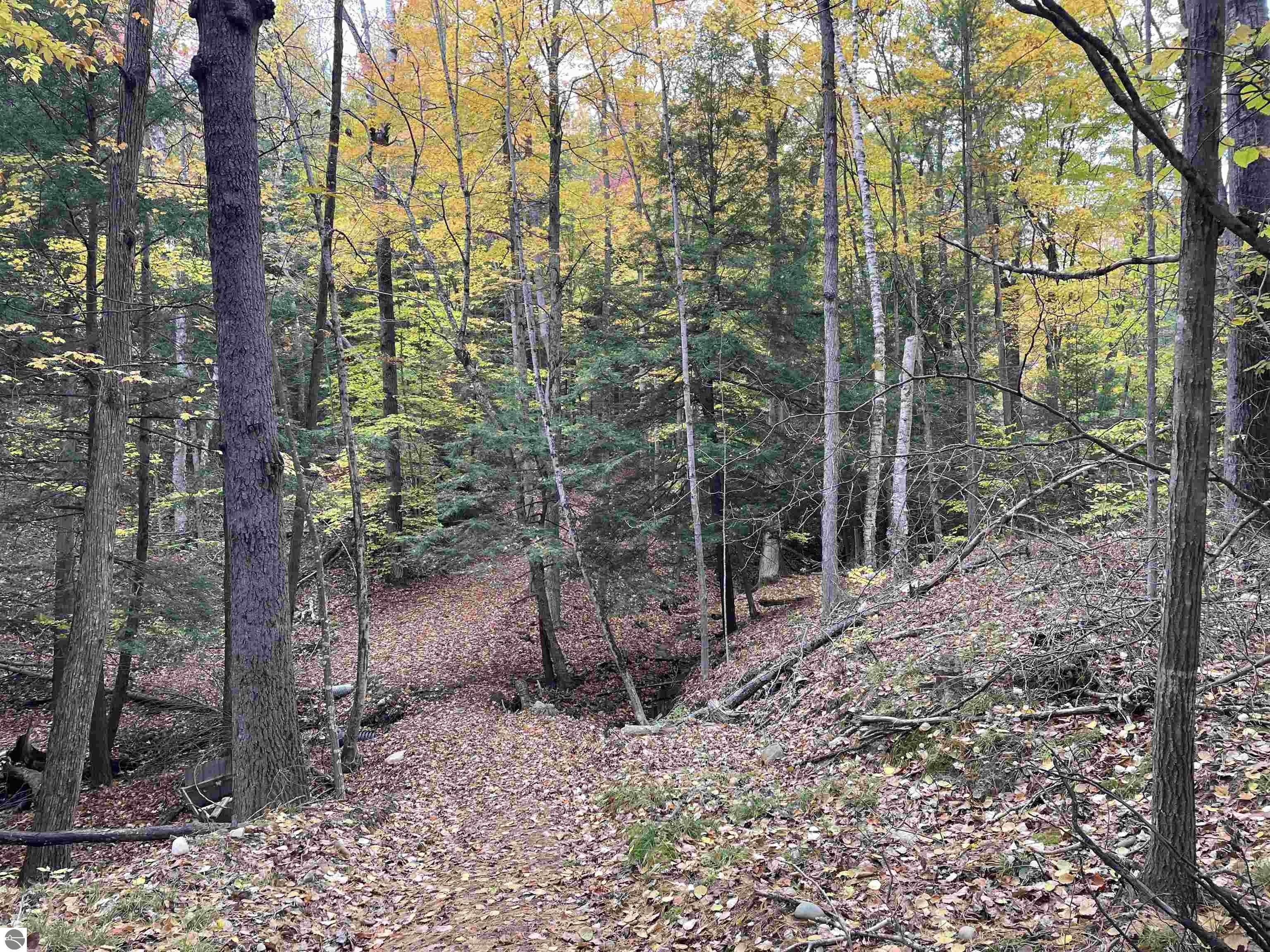 Lupton, Ogemaw County, MI Undeveloped Land, Lakefront Property