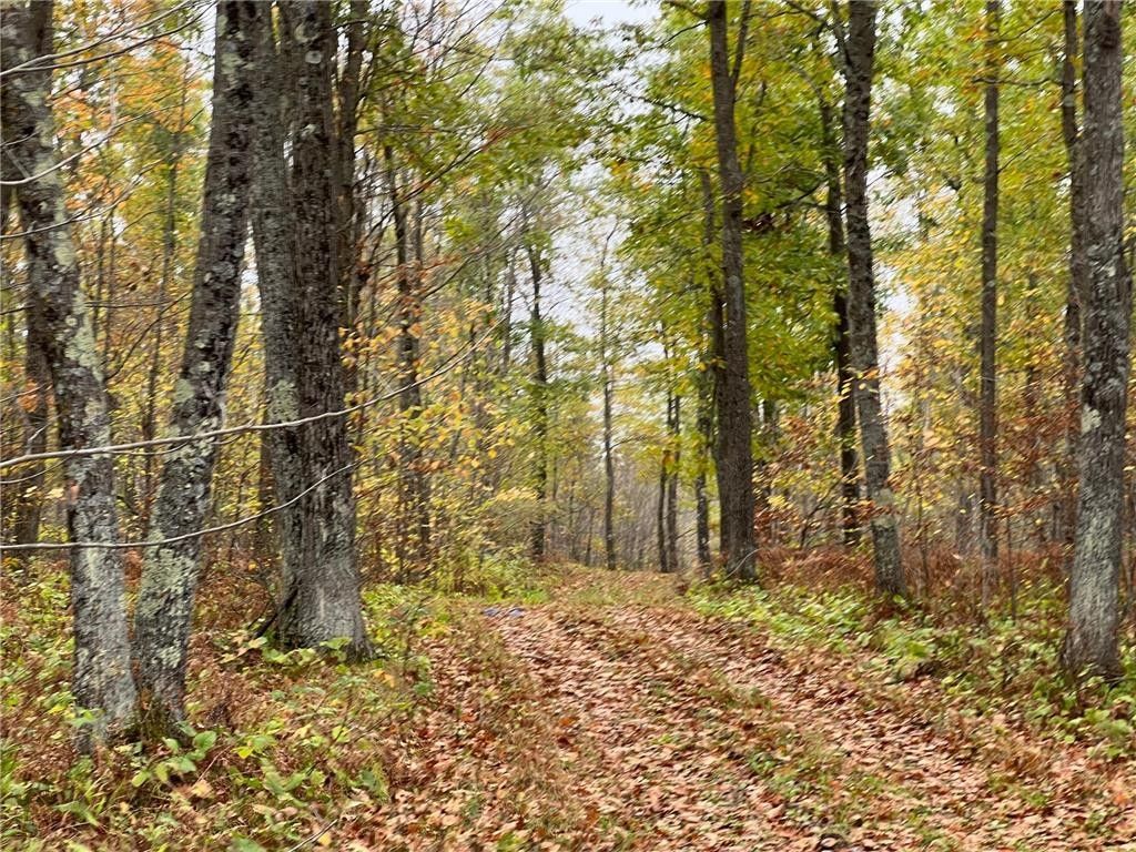 Groningen, Pine County, MN Undeveloped Land for sale Property ID 417437080 LandWatch