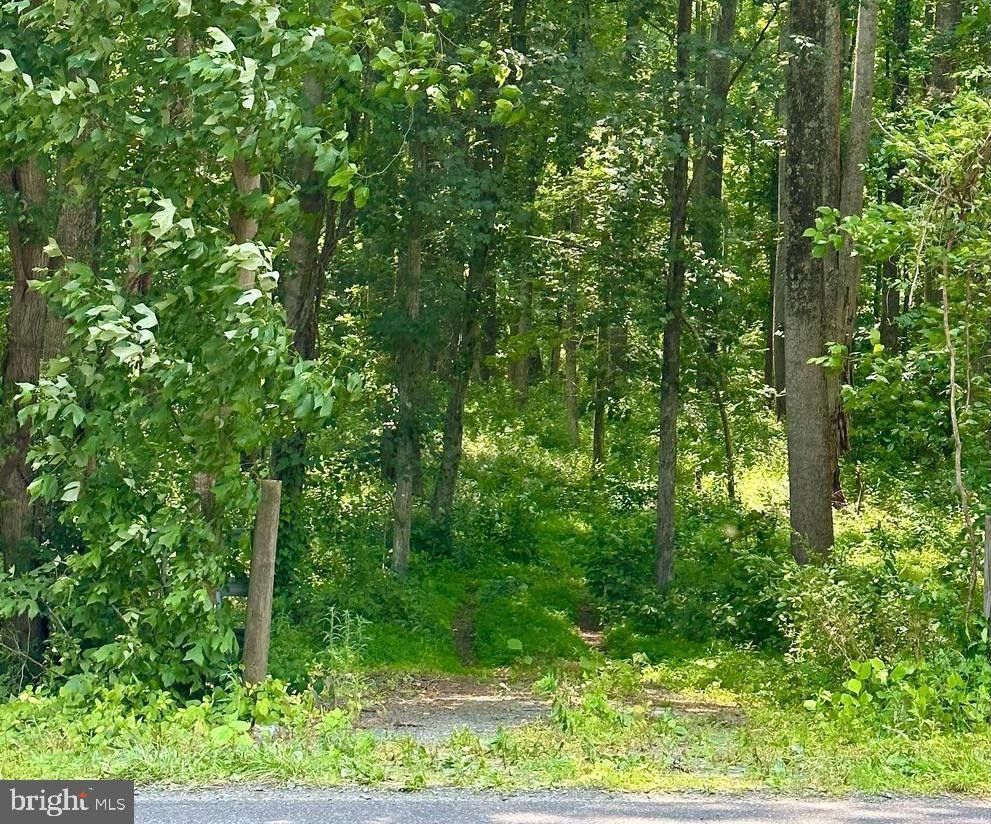 Reva, Culpeper County, VA Undeveloped Land for sale Property ID