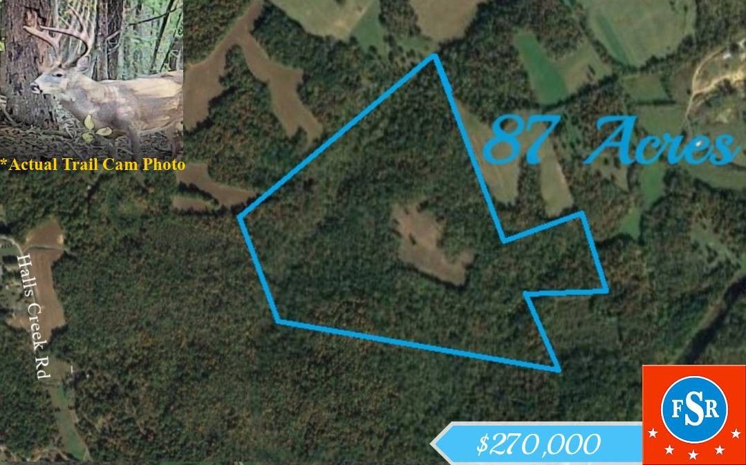 Beaver Dam, Ohio County, KY Undeveloped Land for sale Property ID