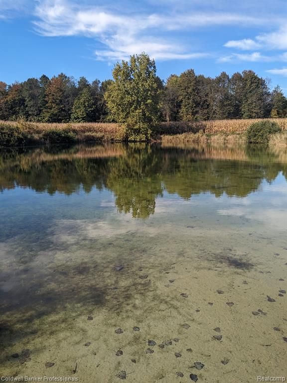 Brown City, Sanilac County, MI Undeveloped Land for sale Property ID