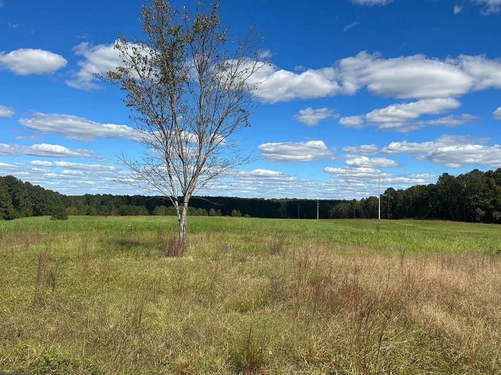 Chappells, Newberry County, SC for sale Property ID 418029773 LandWatch
