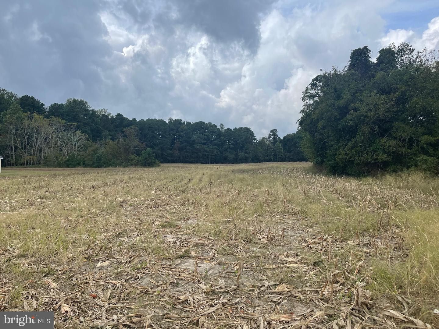 Millsboro, Sussex County, DE Farms and Ranches for sale Property ID