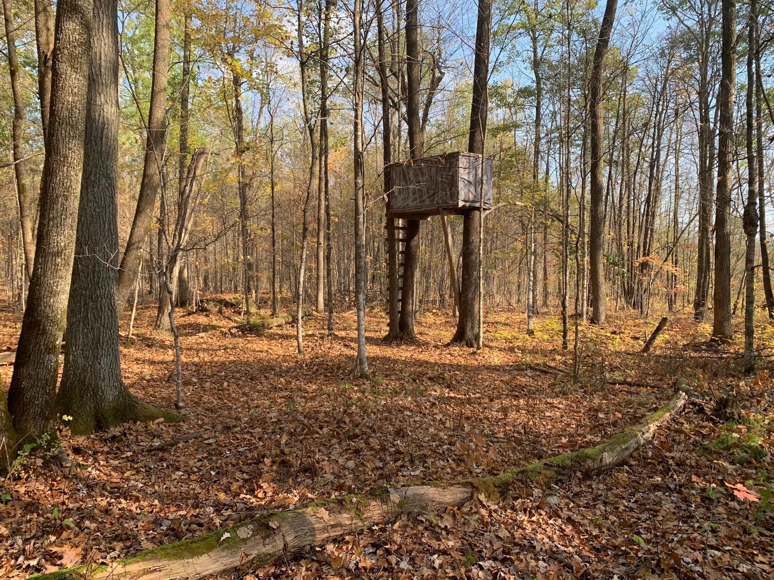 TBD Merlin Road, LotWP001, Hillman, MN 56338 MLS 6442535 LandWatch