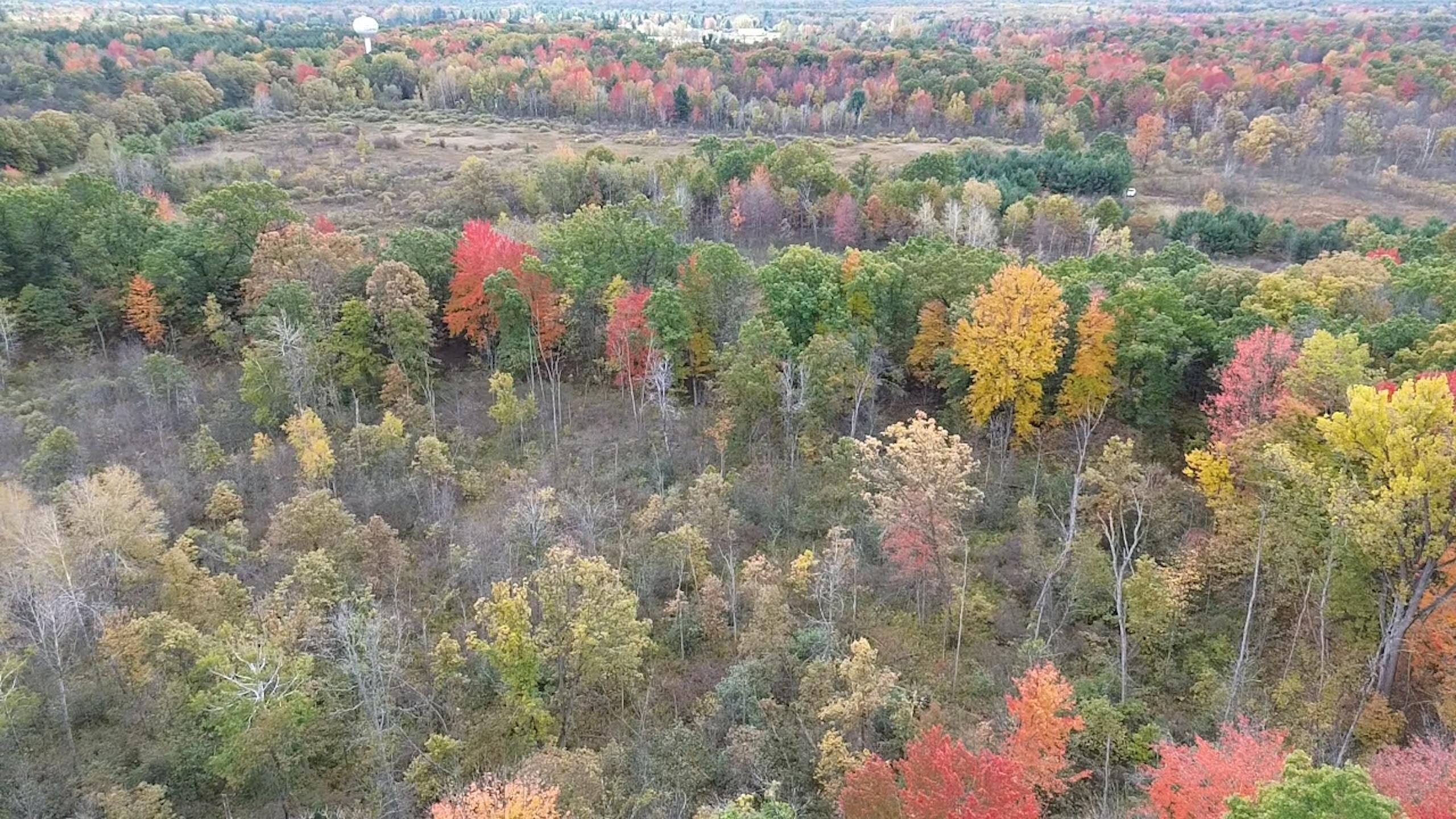 Sanford, Midland County, MI Recreational Property, Hunting Property for sale Property ID