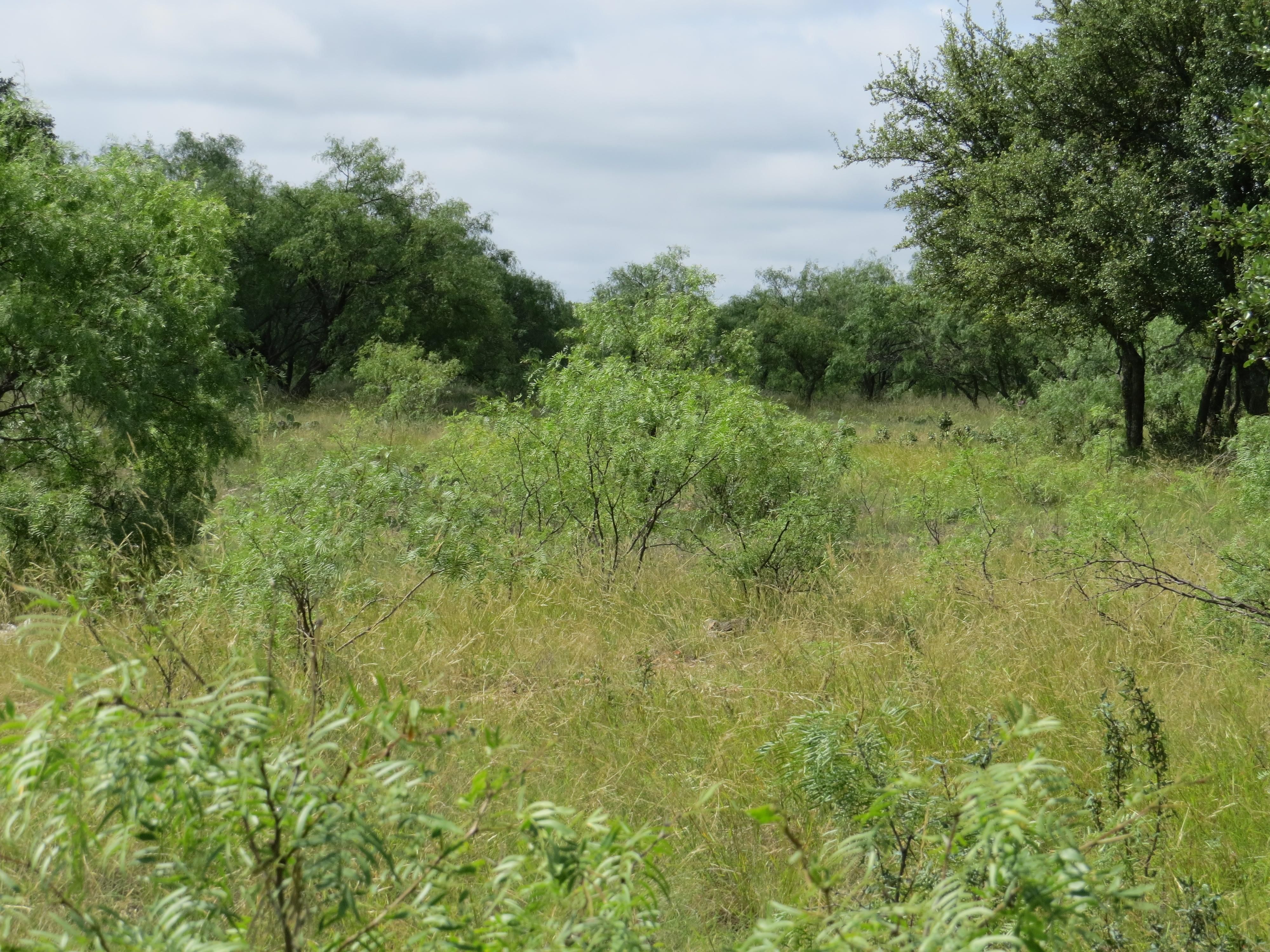 Eden, Concho County, TX Farms and Ranches, Recreational Property