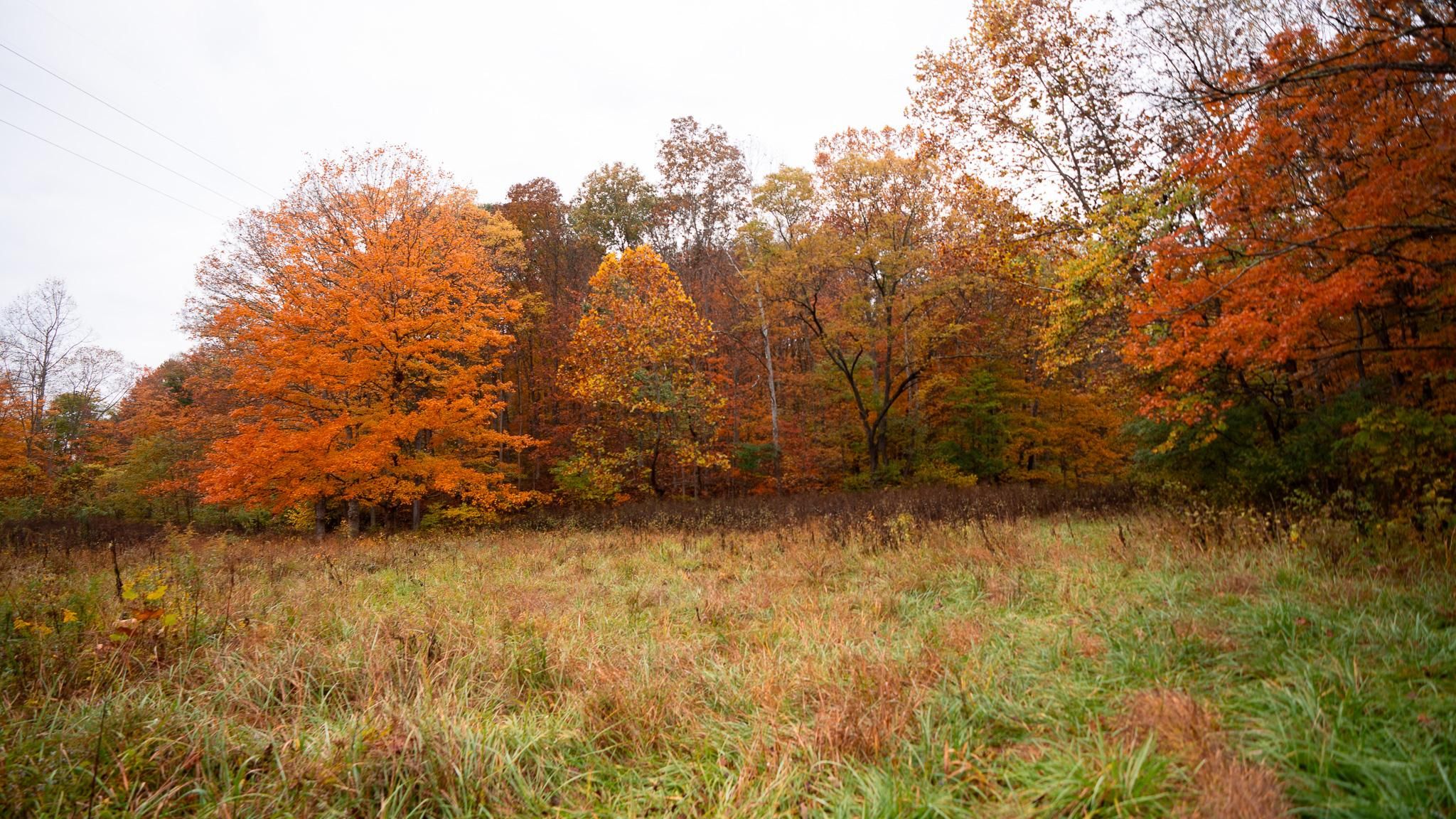 State Route 788, Jackson, OH 45640 MLS Jackson County Ohio Land for