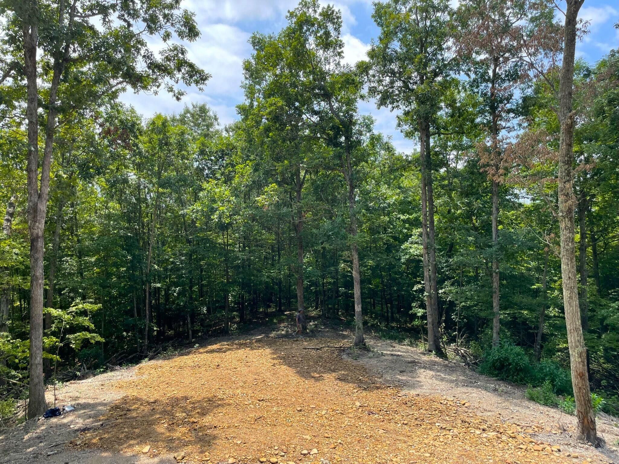 Peebles, Adams County, OH Undeveloped Land for sale Property ID