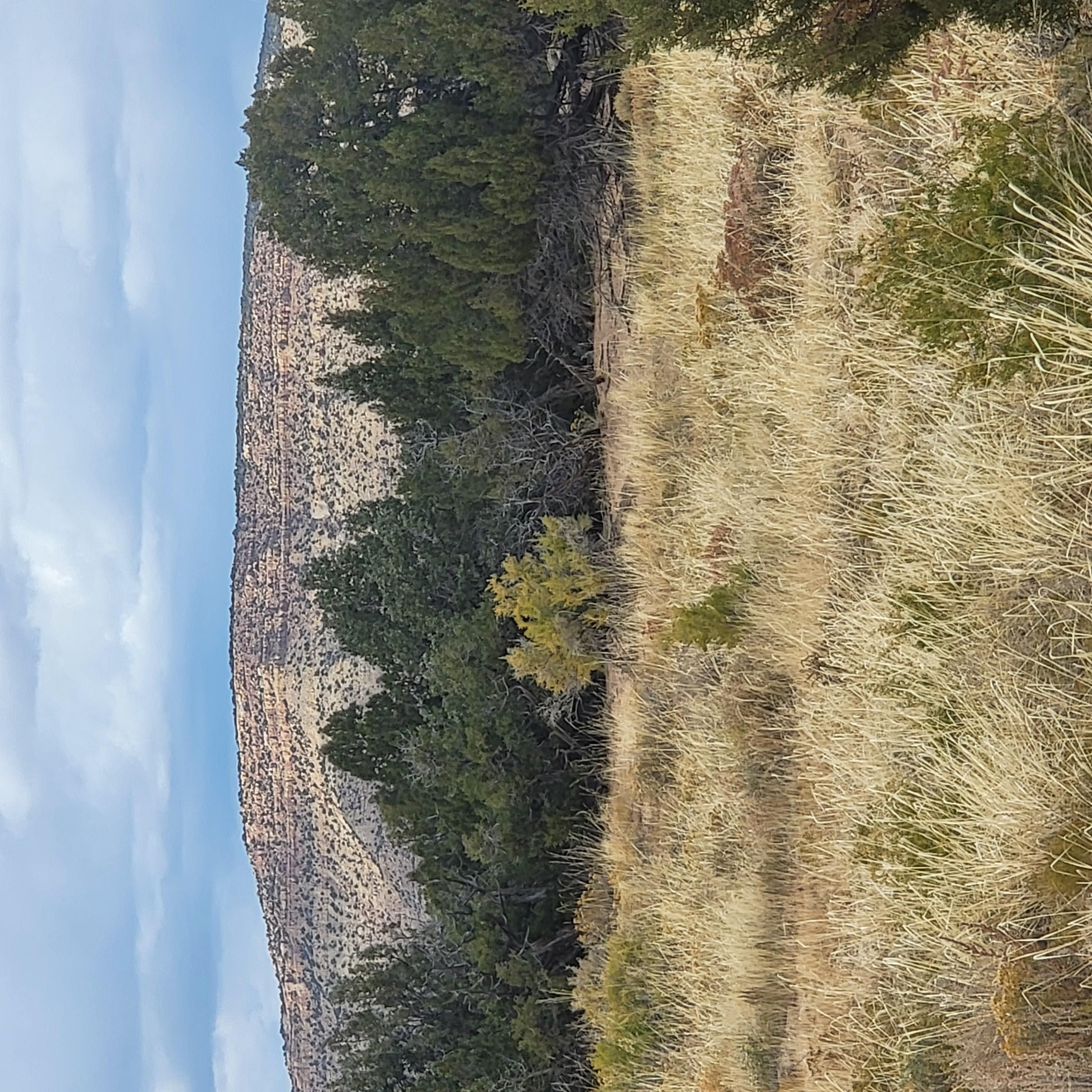 Duchesne, Duchesne County, UT Recreational Property, Horse Property