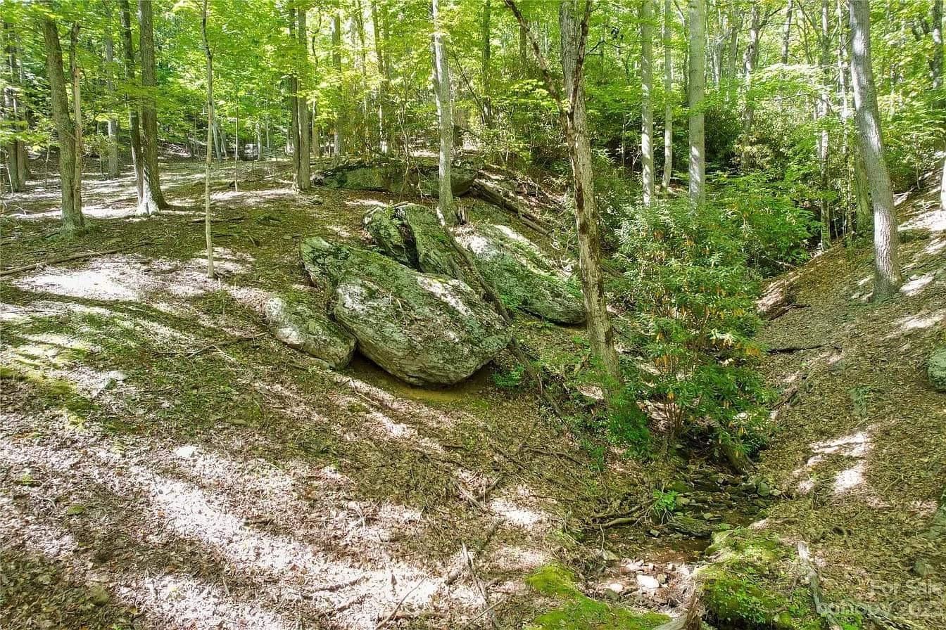 9999 Celo Heights Way 5 Burnsville, North Carolina 28714, Burnsville