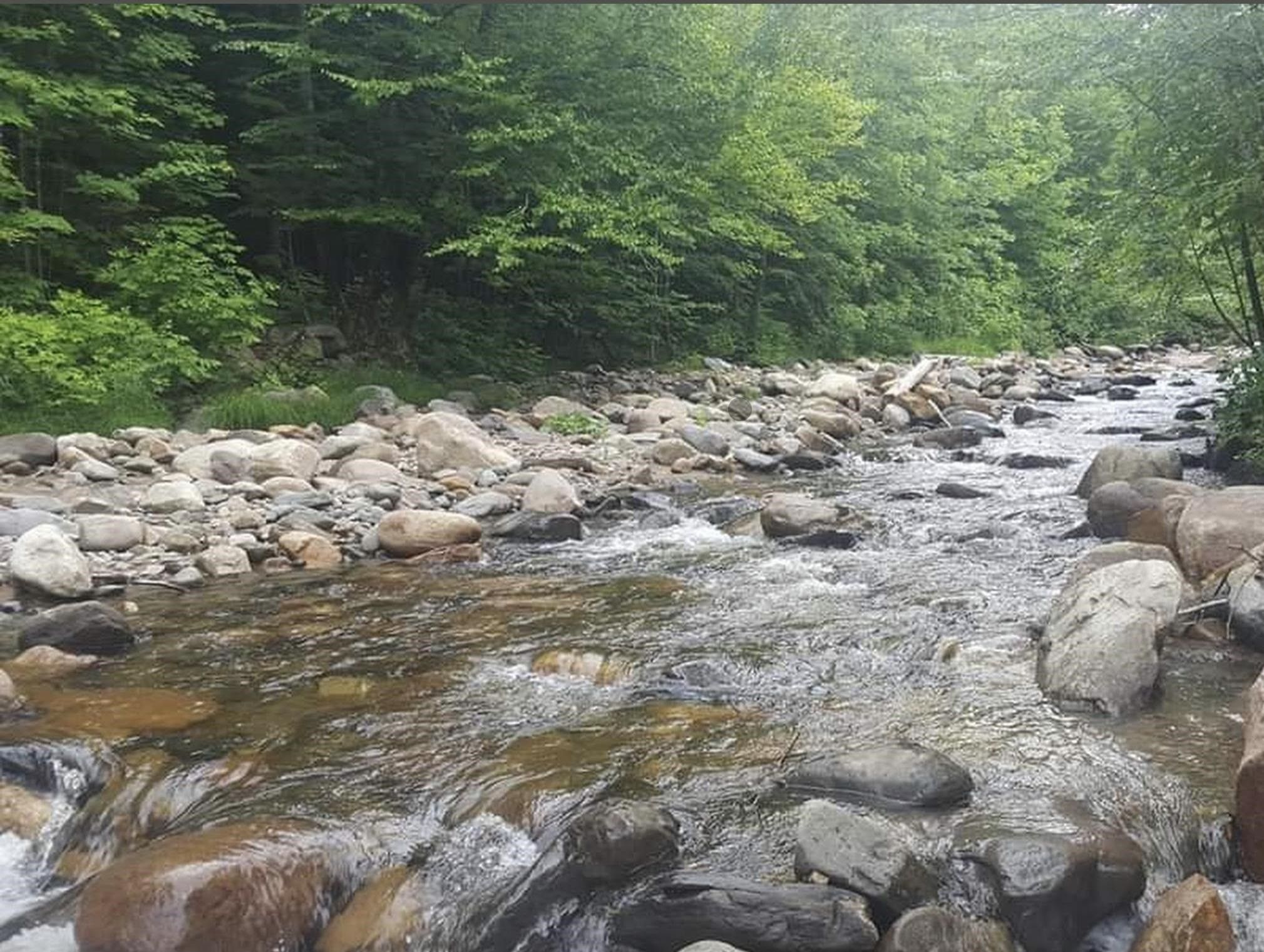 Columbia, Coos County, NH Undeveloped Land, Homesites for sale Property