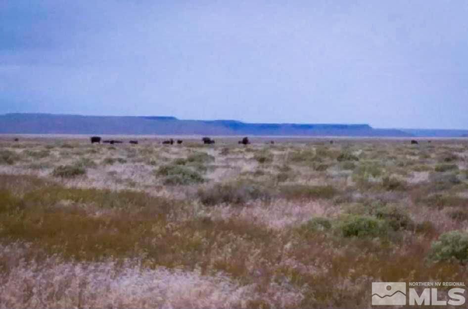 Valmy, Humboldt County, NV Undeveloped Land, Horse Property for sale