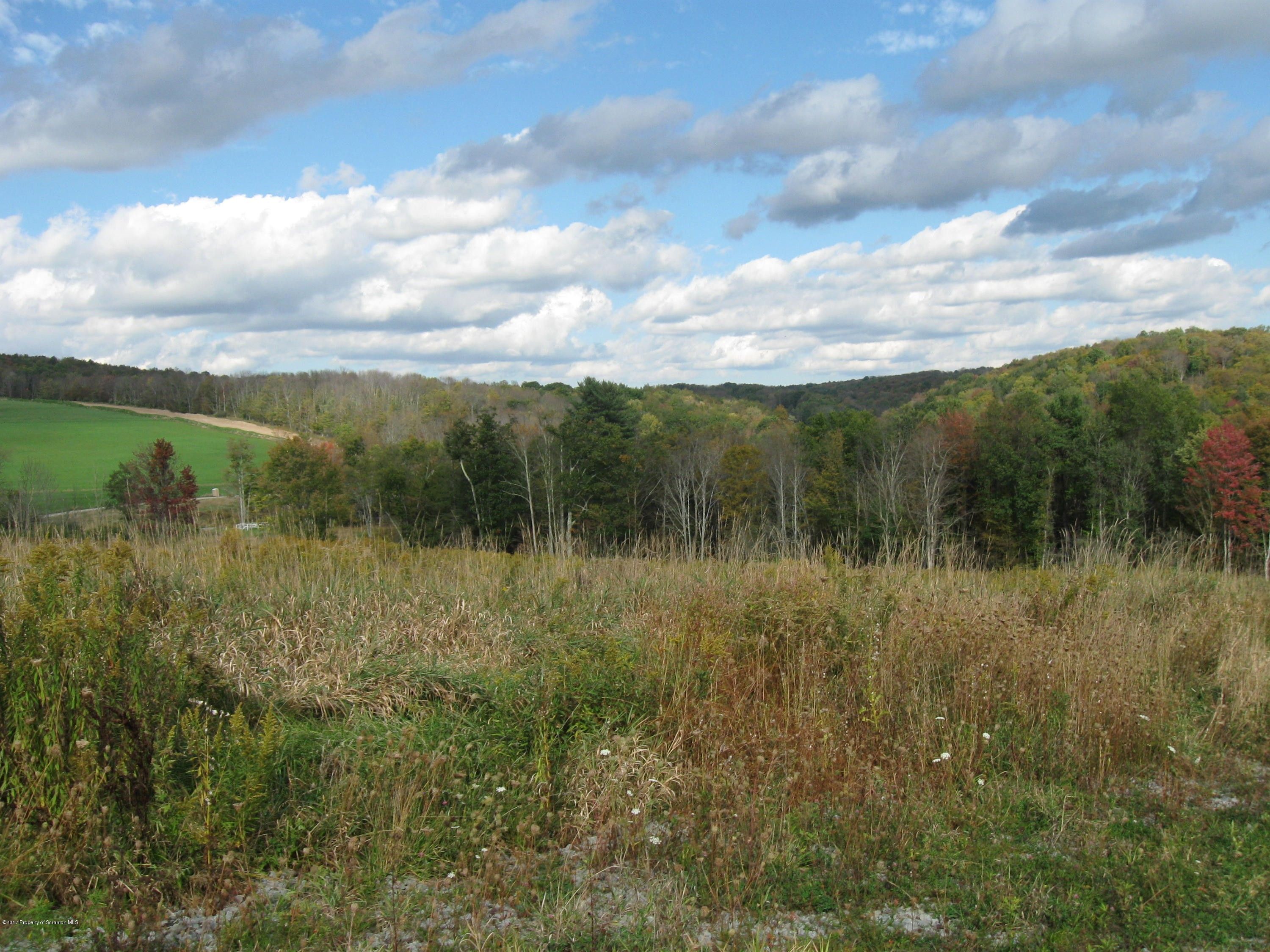 Montrose, Susquehanna County, PA Undeveloped Land for sale Property ID 418035933 LandWatch