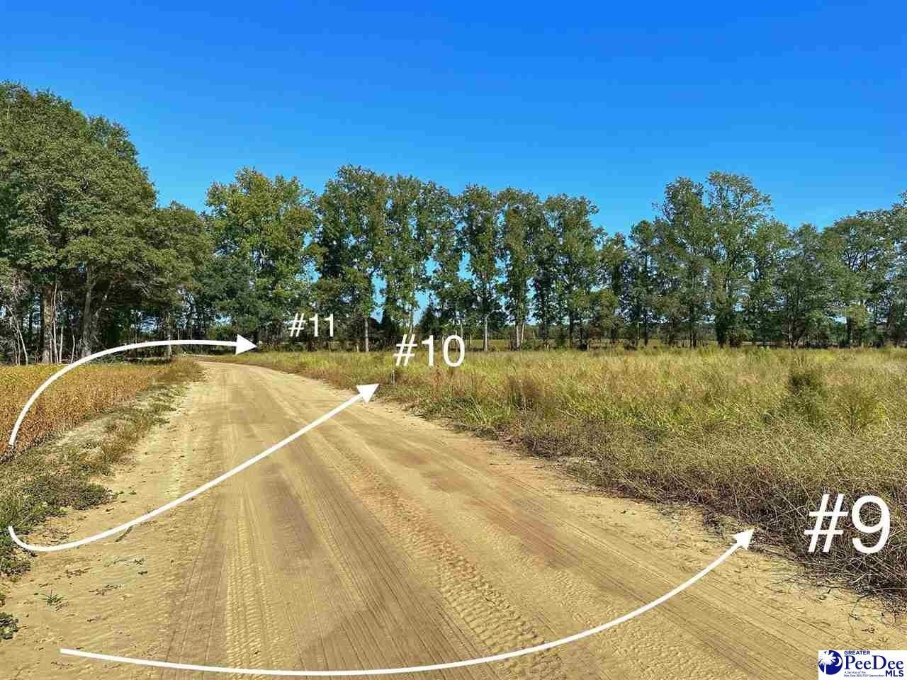 Hamer, Dillon County, SC Farms and Ranches, Homesites for sale Property ID 418036083 LandWatch