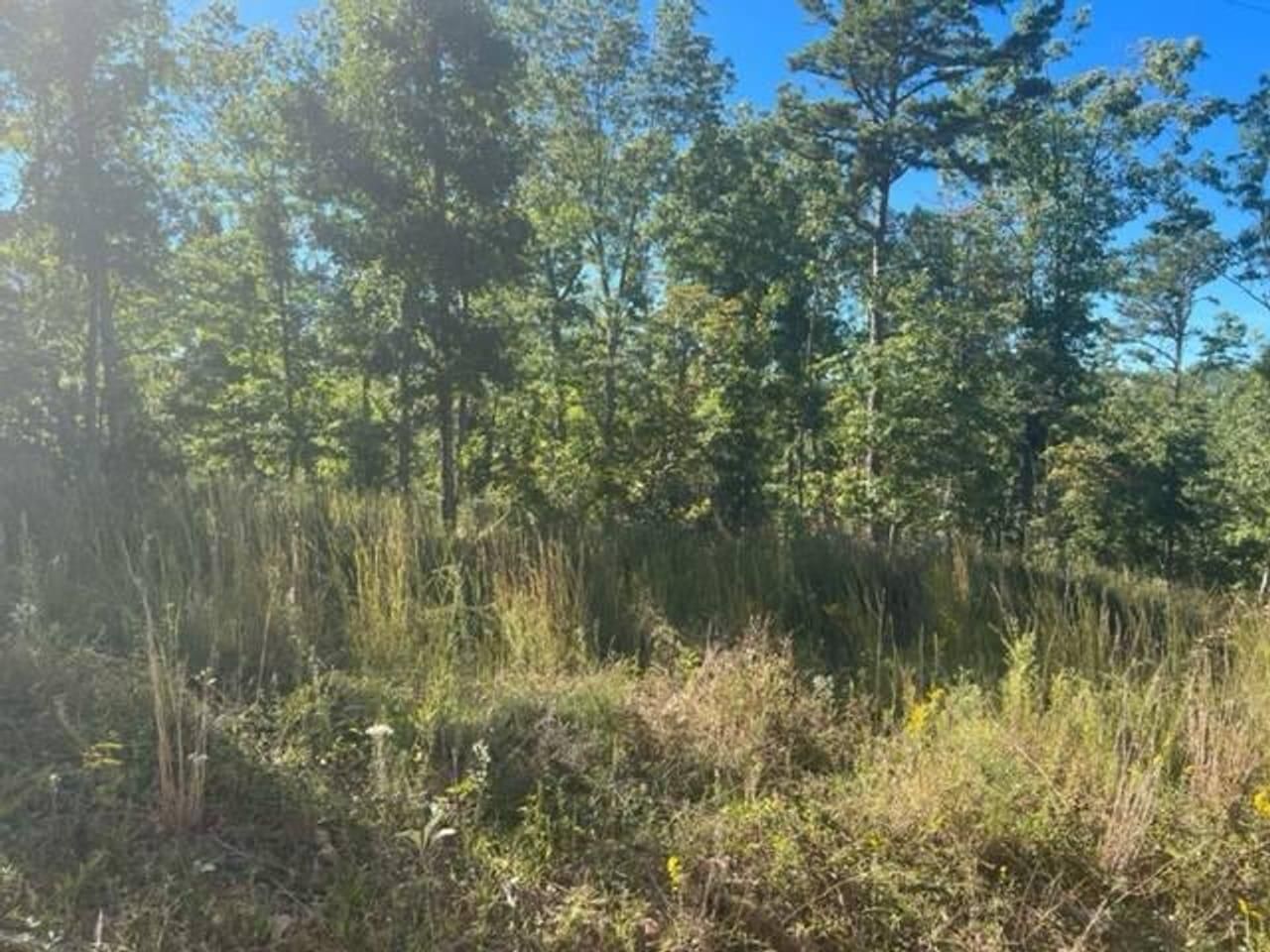 Raymondville, Texas County, MO Recreational Property, Undeveloped Land