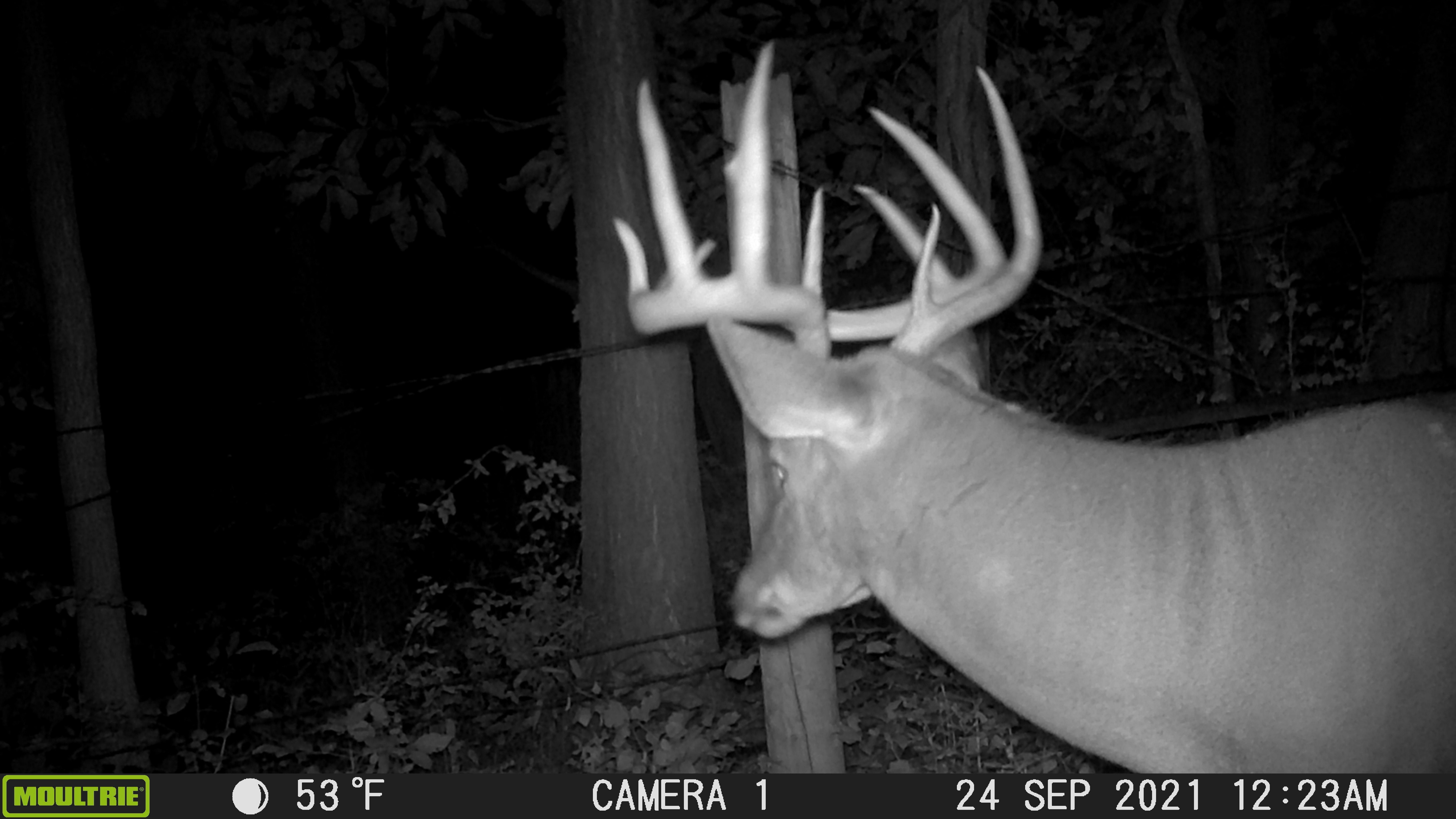 Rock Springs, Sauk County, WI Recreational Property, Hunting Property