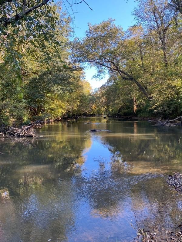 Tallapoosa, Haralson County, GA Farms and Ranches, Recreational
