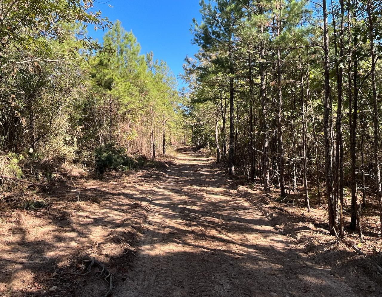 Bigelow, Perry County, AR Recreational Property, Undeveloped Land for