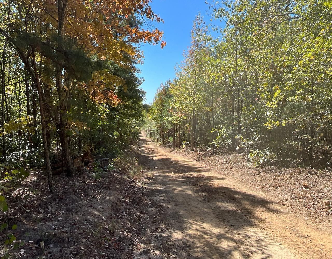 Bigelow, Perry County, AR Recreational Property, Timberland Property