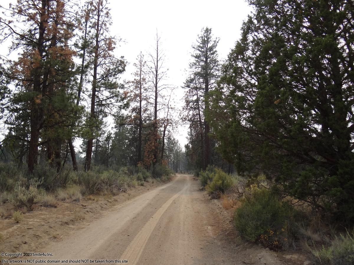 Beatty, Klamath County, OR Undeveloped Land, Horse Property for sale