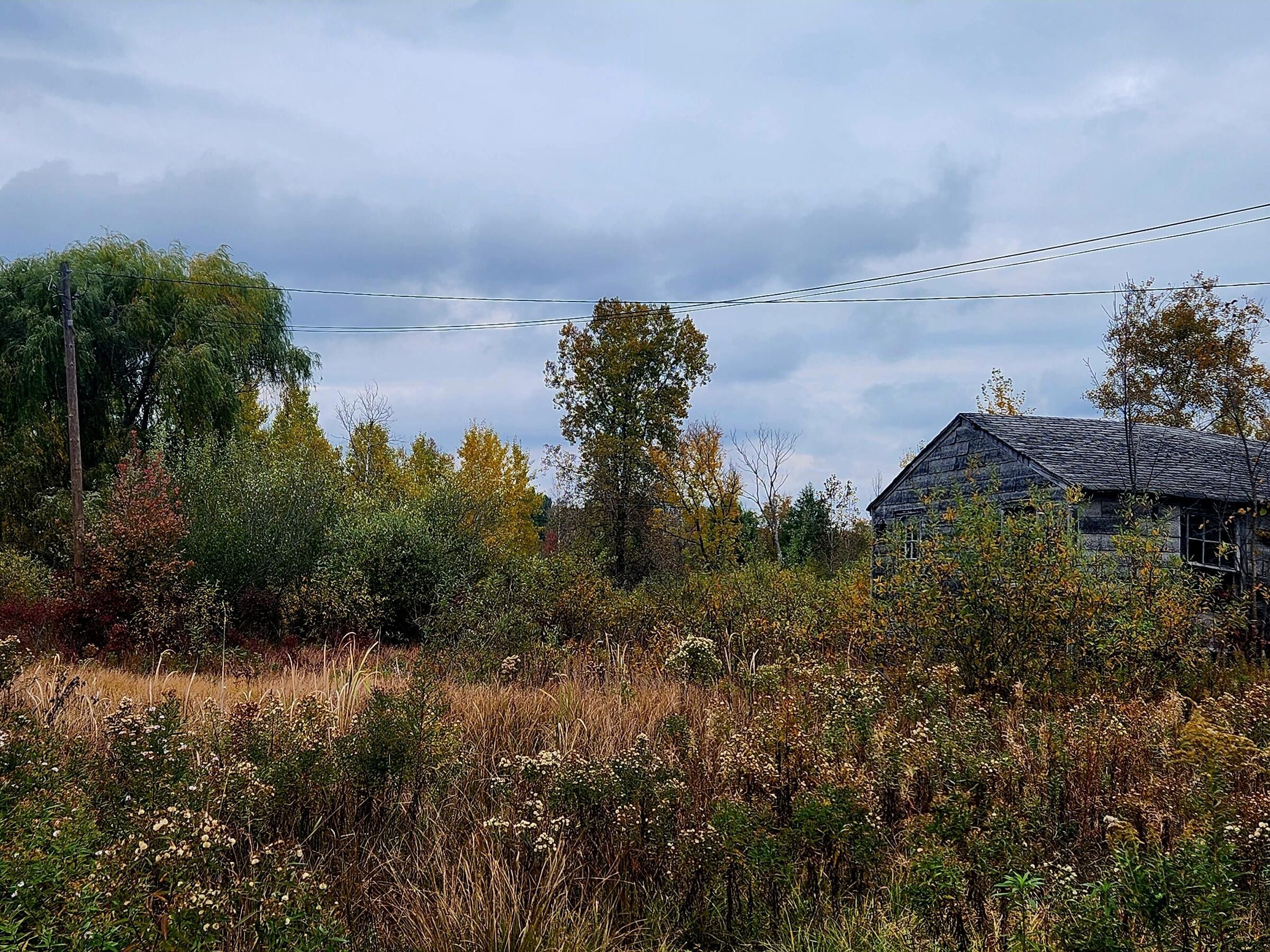 Edmore, Montcalm County, MI Undeveloped Land for sale Property ID