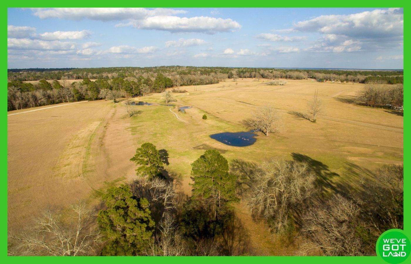 Trinity, Trinity County, TX Recreational Property, Undeveloped Land