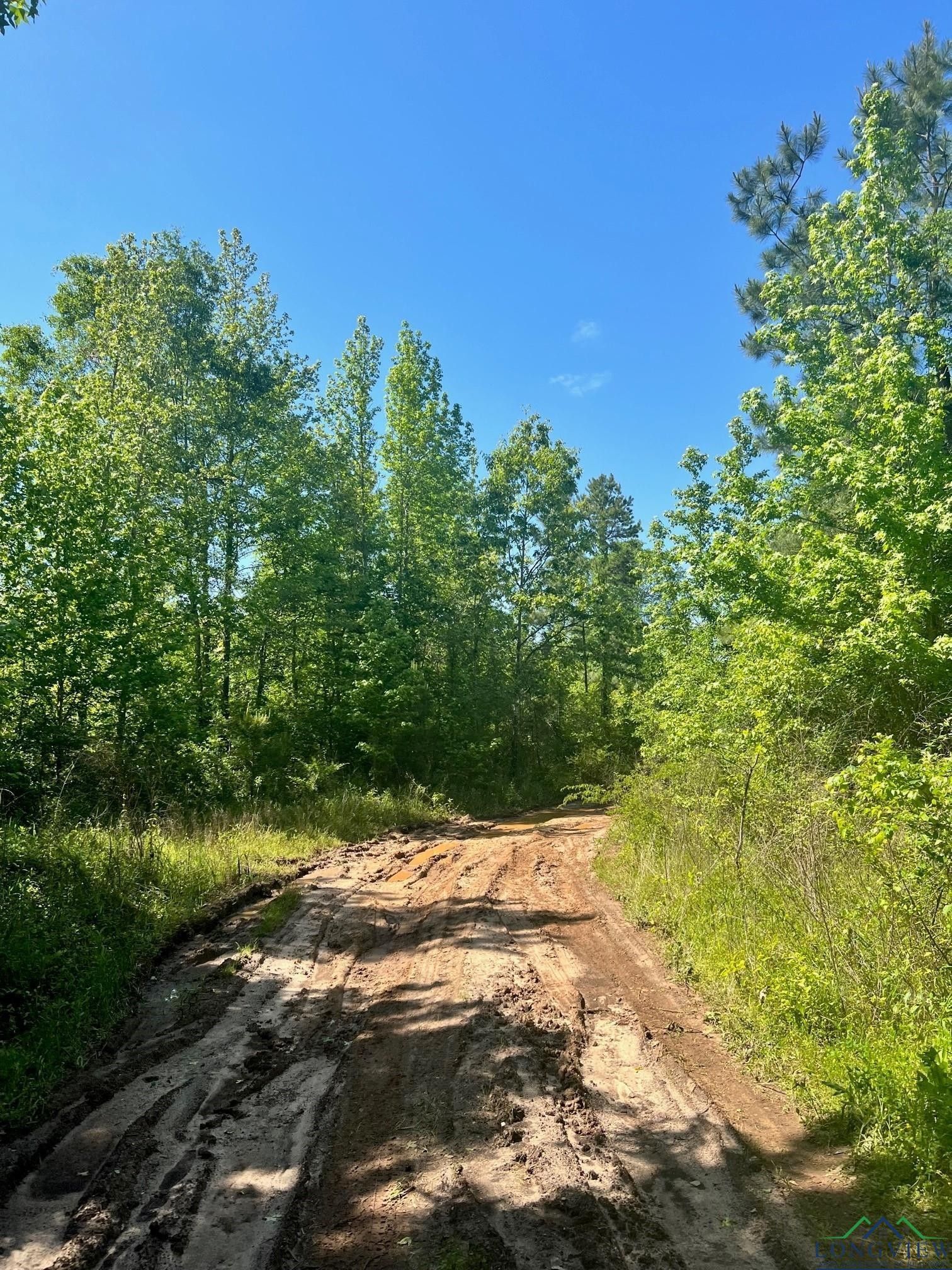 Overton, Rusk County, TX Undeveloped Land for sale Property ID