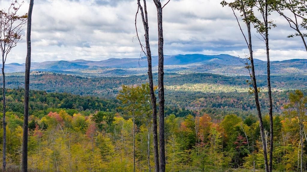 0 Chadwick Lane, Wilmot, NH 03287 MLS 4974825 LandWatch