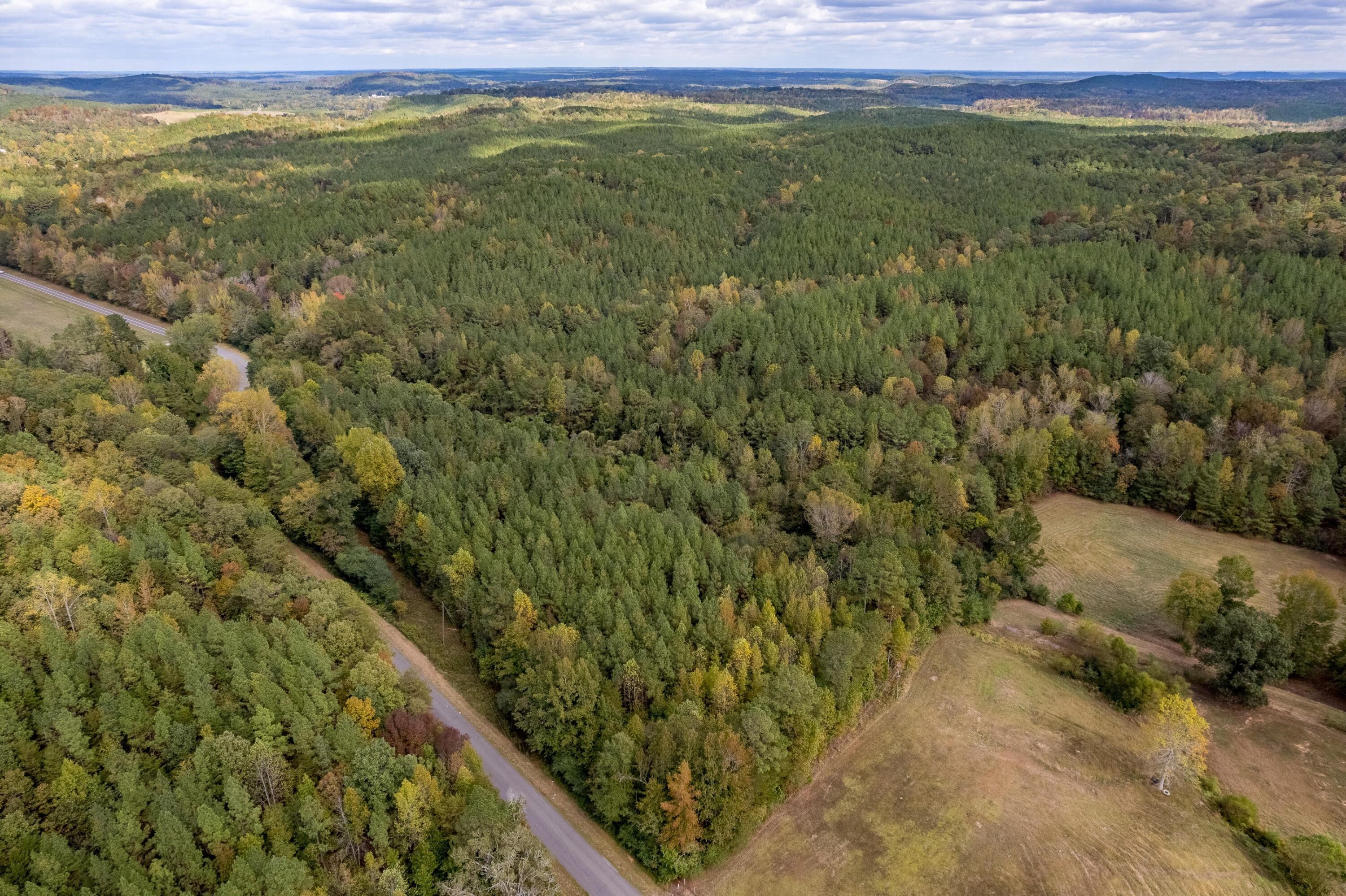 Carbon Hill, Fayette County, AL Undeveloped Land for sale Property ID