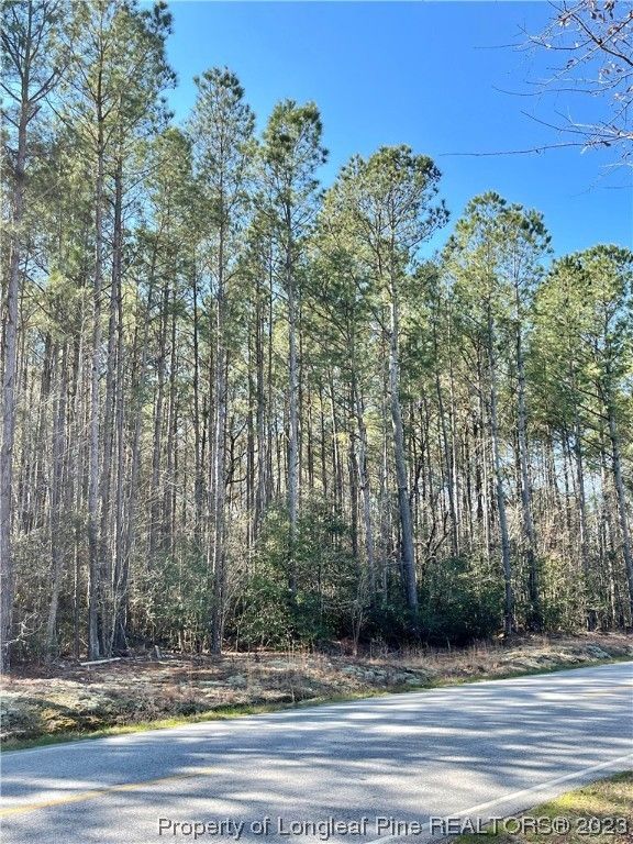 Autryville, Sampson County, NC Undeveloped Land, Homesites for sale