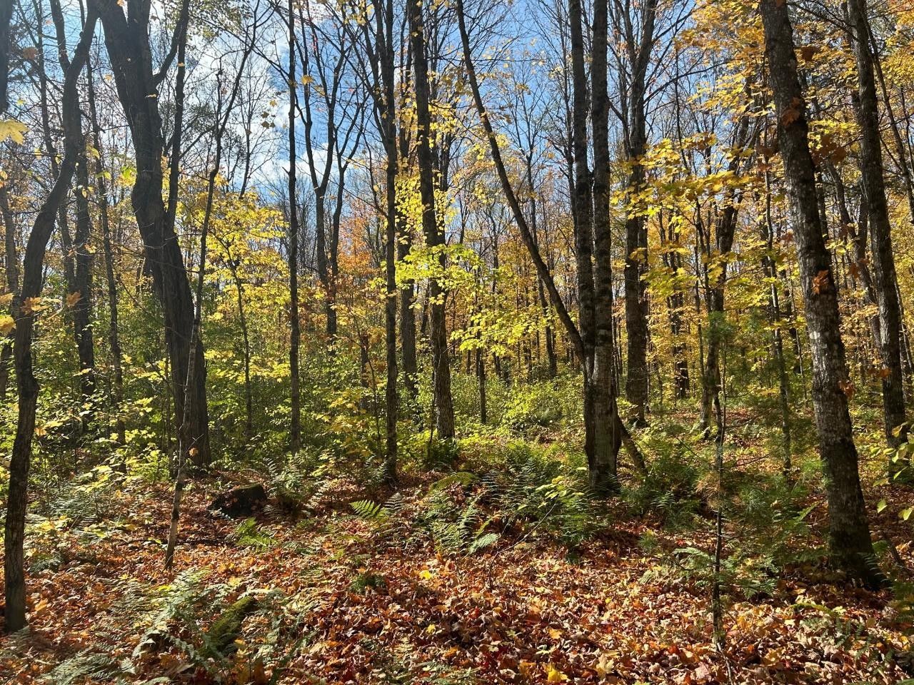 Bruce Crossing, Ontonagon County, MI Undeveloped Land for sale Property