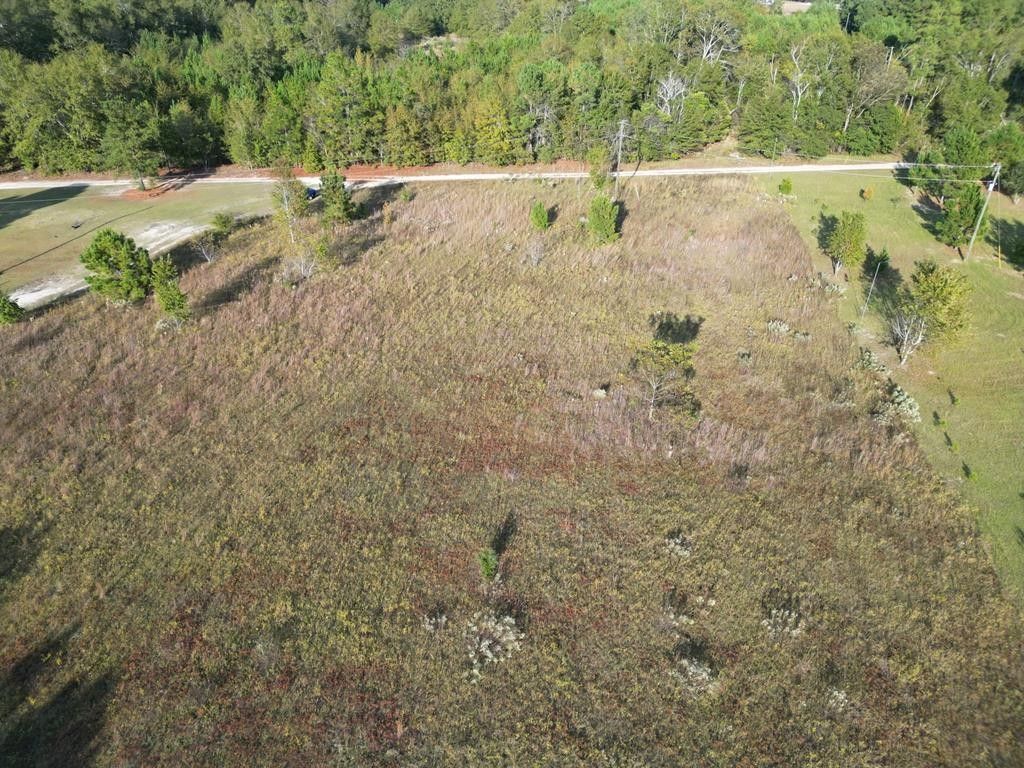 Orangeburg, Orangeburg County, SC Undeveloped Land for sale Property ID
