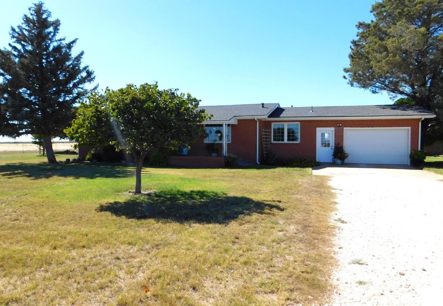 280 County Road 143, Muleshoe, TX 79347 MLS 202315663 LandWatch