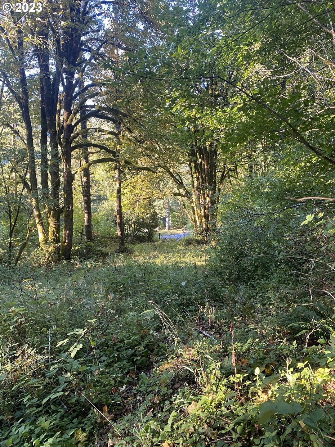 Tillamook, Tillamook County, OR Farms and Ranches for sale Property ID