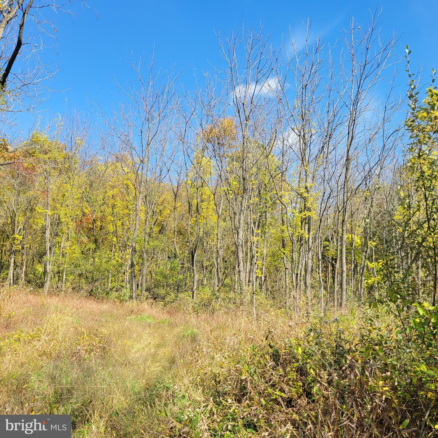 Mertztown, Berks County, PA Undeveloped Land for sale Property ID