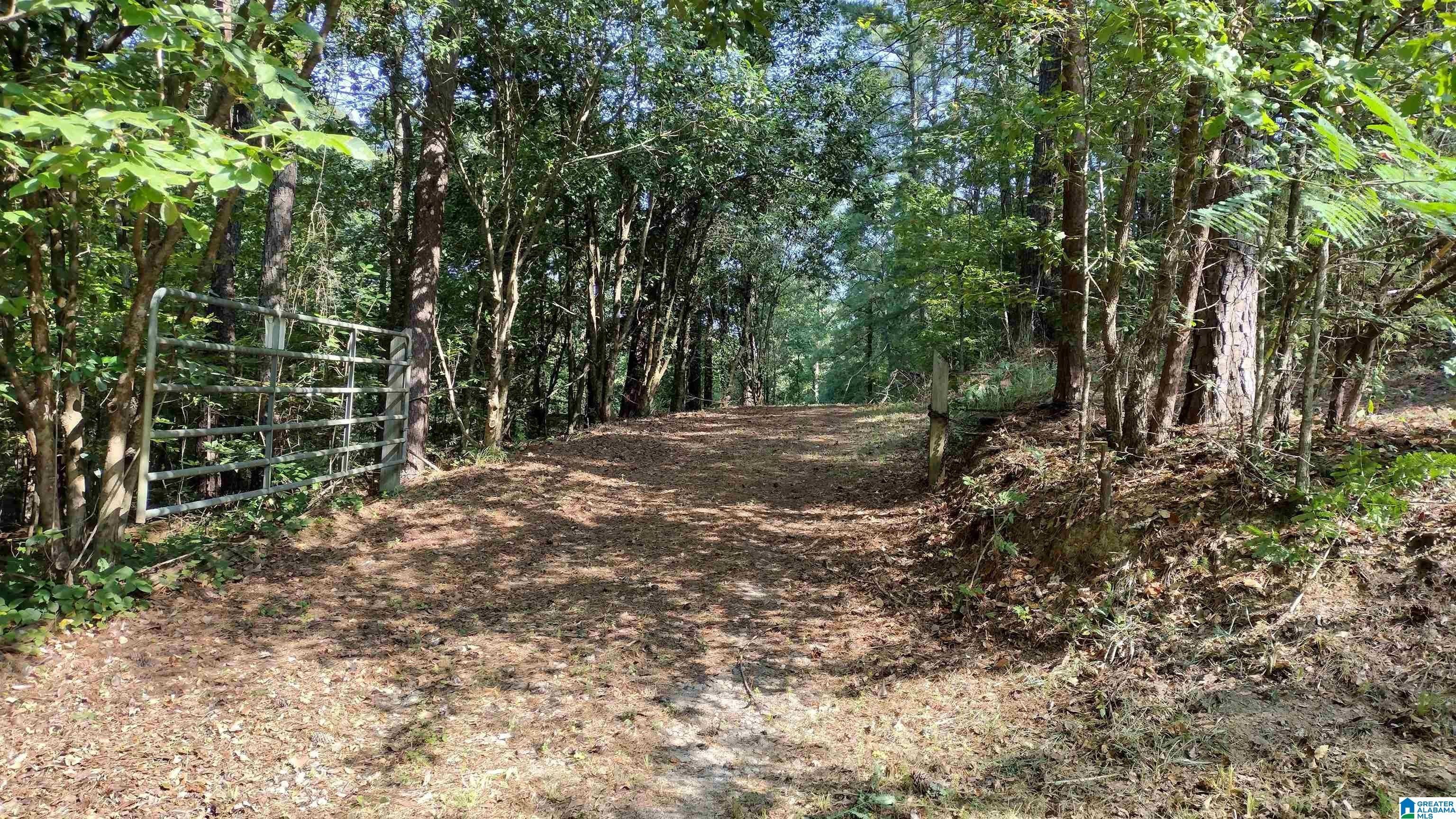 Hayden, Blount County, AL Undeveloped Land, Lakefront Property