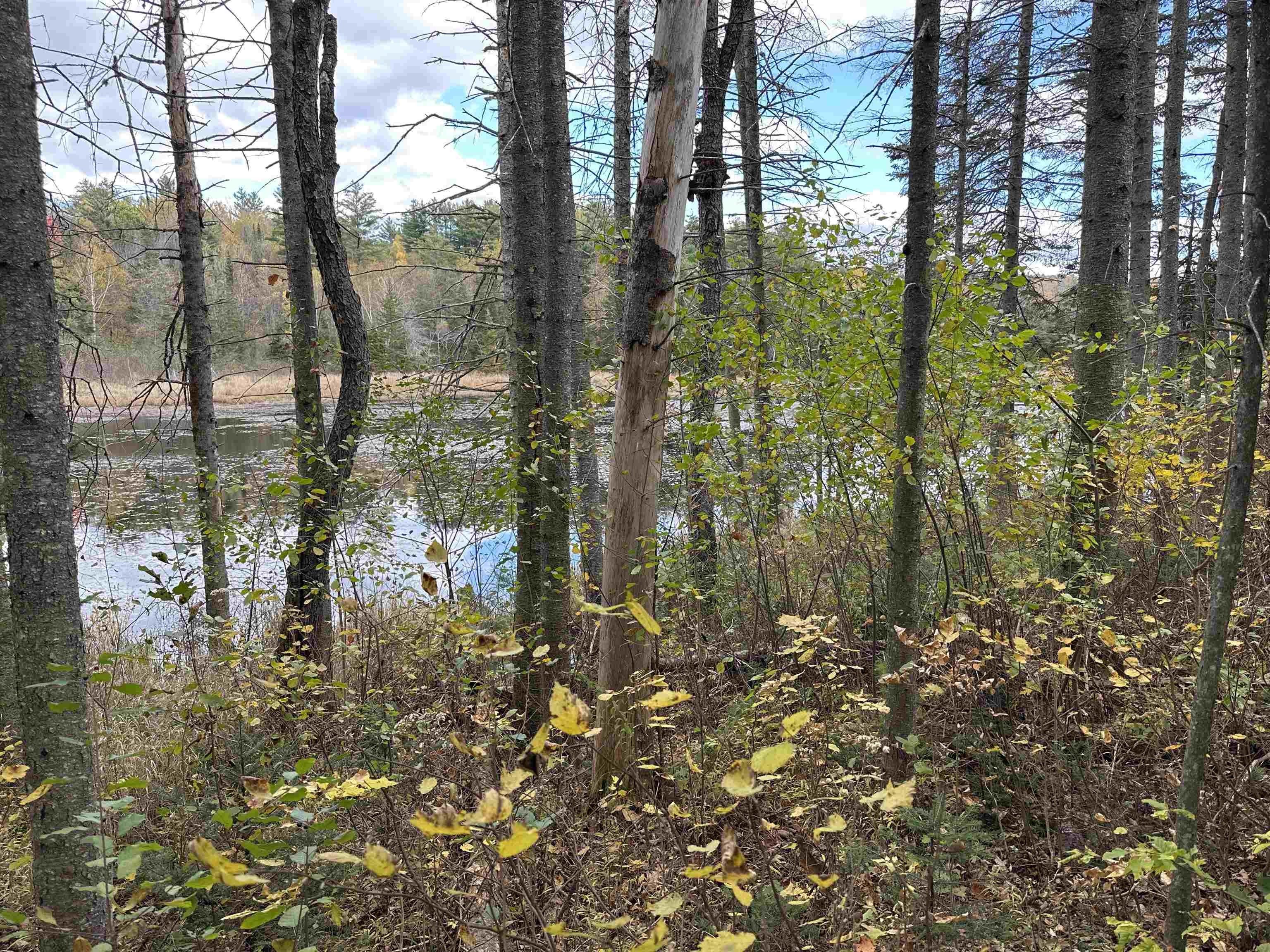 Grafton, Grafton County, NH Undeveloped Land for sale Property ID